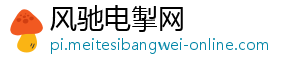 风驰电掣网